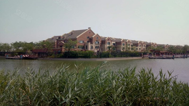 仁爱团泊湖鸿雁岛(别墅)