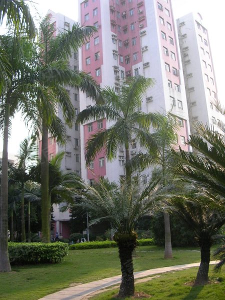 黄石花园,黄石东路-广州黄石花园二手房,租房,房价-广州安居客