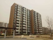 地毯路小区图片