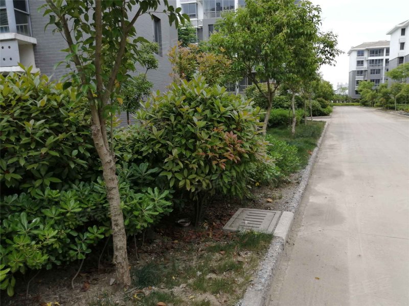 芦沟新苑,戚黄路-宿迁芦沟新苑二手房,租房,房价-宿迁安居客