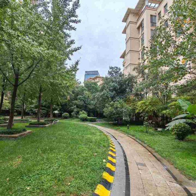 国宝花园洋房 着急卖 懂的赶紧联系我吧