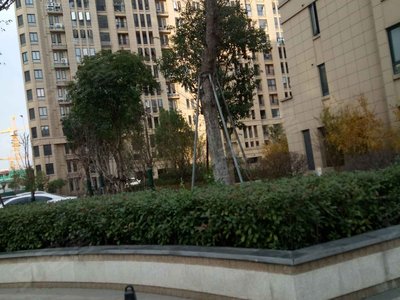 上海房产网>上海小区>上海周边小区>慈溪小区>新潮塘南苑