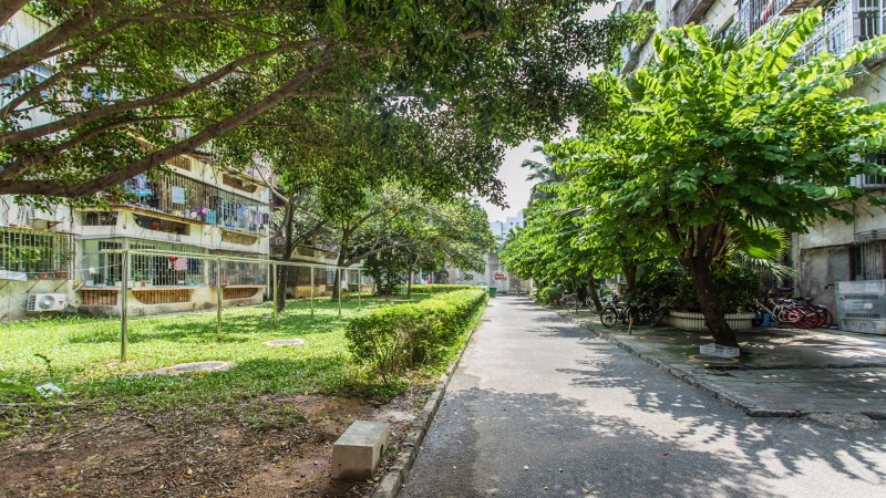 红荔村住宅区,振兴路22-7号-深圳红荔村住宅区二手房,租房,房价-深圳