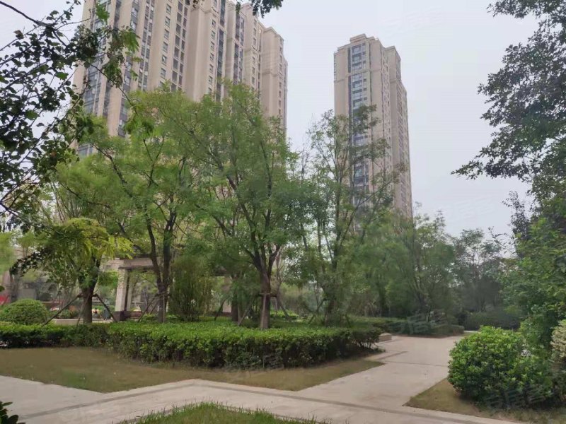 信华城,神火大道-商丘信华城二手房,租房,房价-商丘安居客