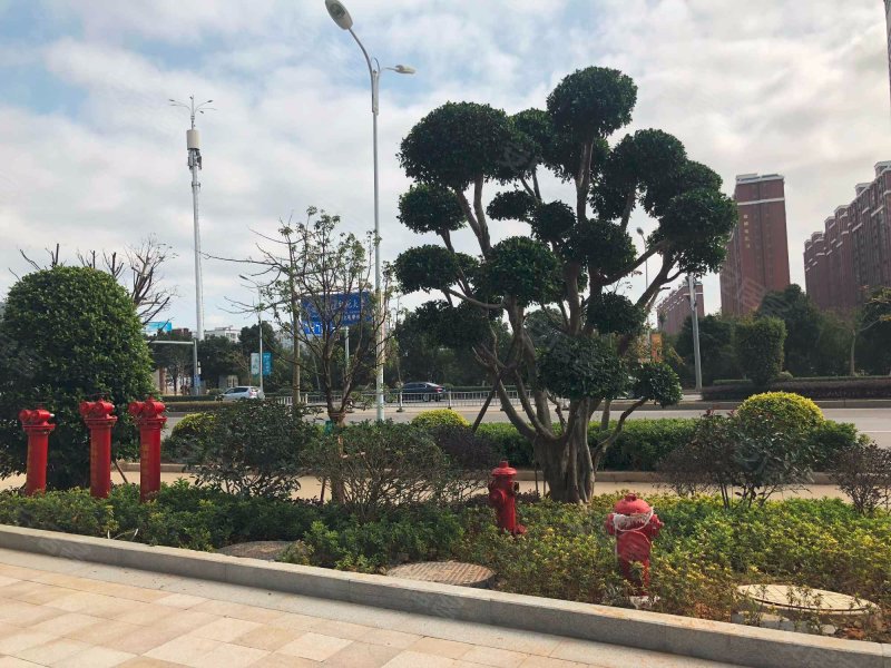 福清时代广场(商住楼)