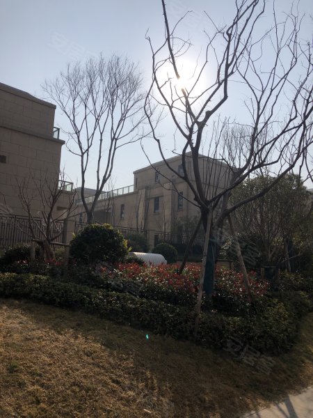 大江东宝龙广场(别墅)