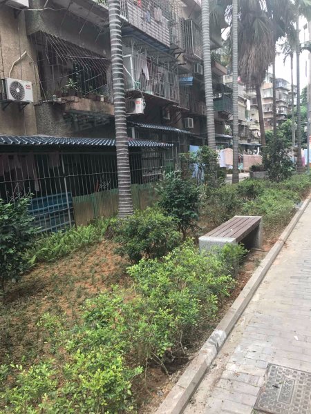 图强路小区,图强路1-17号-厦门图强路小区二手房,租房,房价-厦门安居