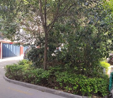 凤台南路58号小区