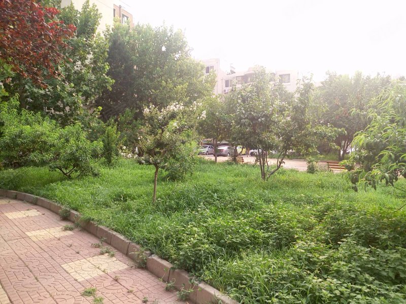 玫瑰花园,解放南路477号-北京玫瑰花园二手房,租房,房价-北京安居客