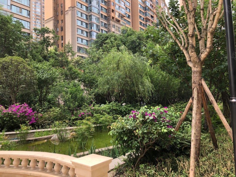 信和御龙山(二期)