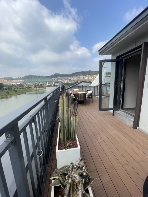 绿城龙山玫瑰园