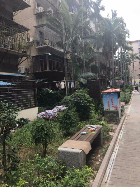 图强路小区,图强路1-17号-厦门图强路小区二手房,租房,房价-厦门安居