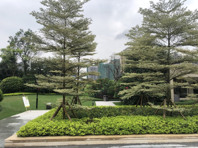 新力龙湾,清远大道-清远新力龙湾二手房,租房,房价-清远安居客