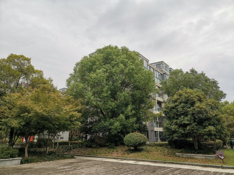 新城盛景c区,崧文路299弄-拉萨新城盛景c区二手房,租房,房价-拉萨安居