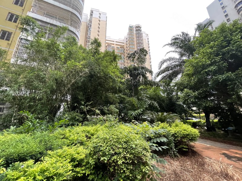 中城广场,文华路13号-海口中城广场二手房,租房,房价-海口安居客