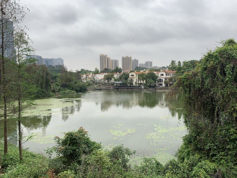 中信森林湖(别墅),东莞大道-东莞中信森林湖(别墅)二手房,租房,房价