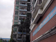 南山小区图片