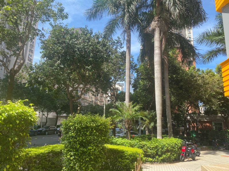 建东大厦,天湖路103号-厦门建东大厦二手房,租房,房价-厦门安居客