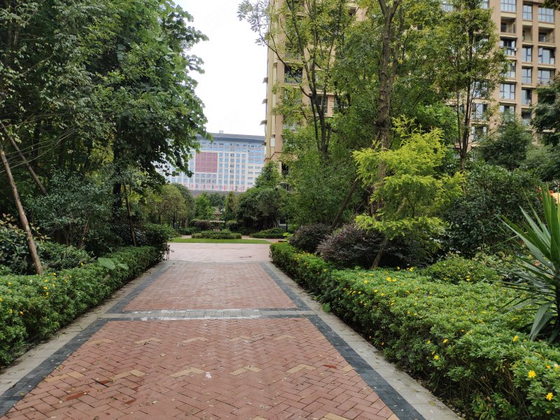 燊海森林香溪谷,迎宾大道,近丹桂大街-自贡燊海森林香溪谷二手房,租房