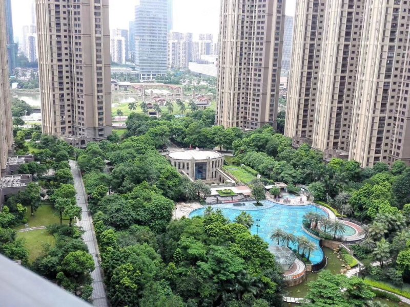 中海千灯湖1号