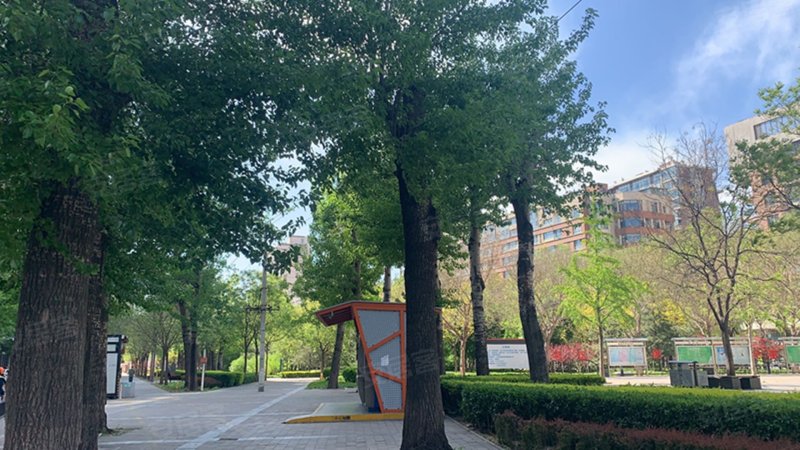 沿海赛洛城(南区),广渠东路33号-北京沿海赛洛城(南区)二手房,租房