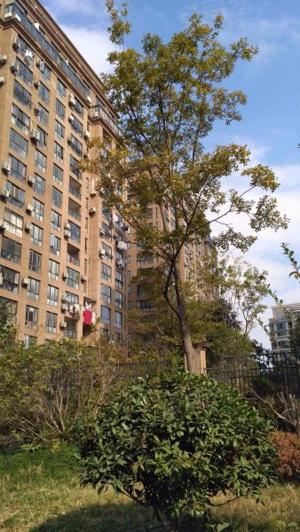 莱茵河畔,沿河路1号-南通莱茵河畔二手房,租房,房价-南通安居客