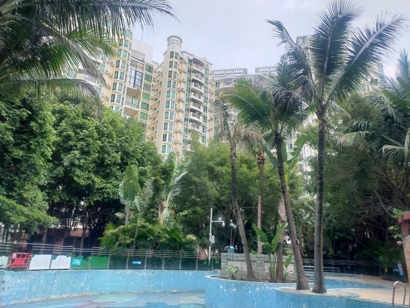 逸翠园(信义五期),荣华路145号-深圳逸翠园(信义五期)二手房,租房