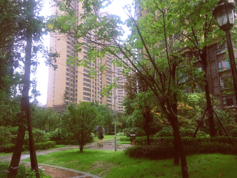 金都华府,顺运街56号,滨江路二段322号-成都金都华府二手房,租房,房价