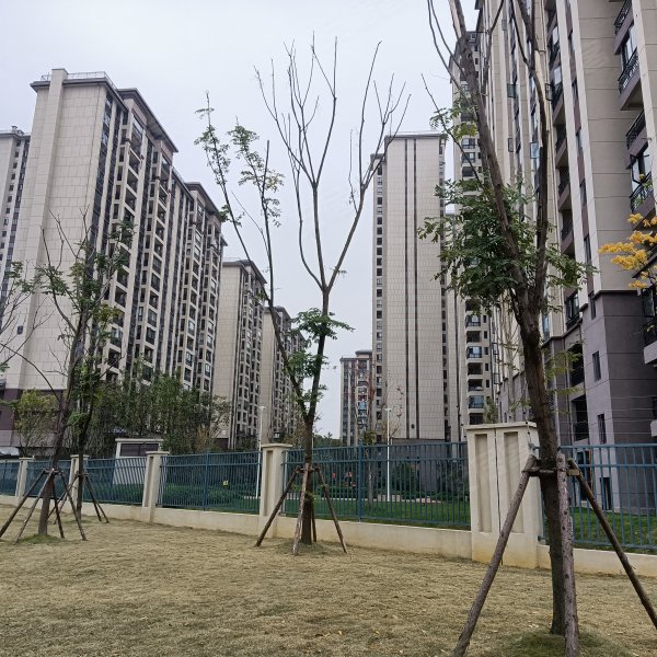 碧桂园西南上城澜山府