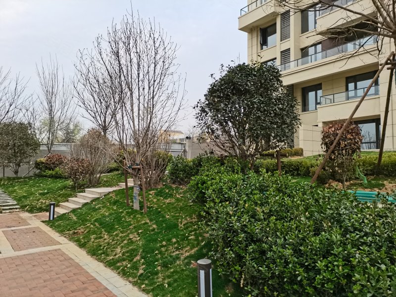 国悦半山九里,樱桃园路-泰安国悦半山九里二手房,租房,房价-泰安安居