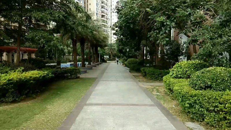 霸王花丽江花园