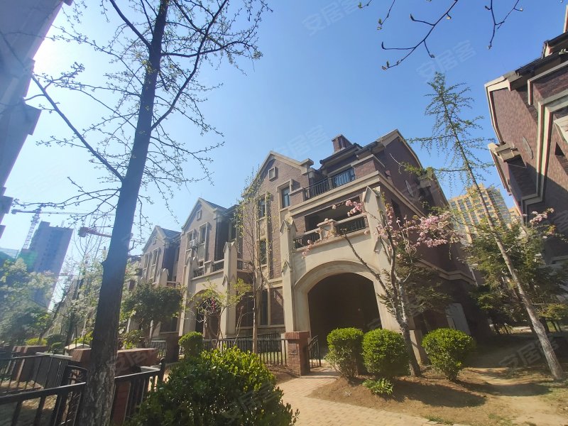 伊丽莎白公元(别墅),滨河东路,近黄山路-临沂伊丽莎白公元(别墅)二手