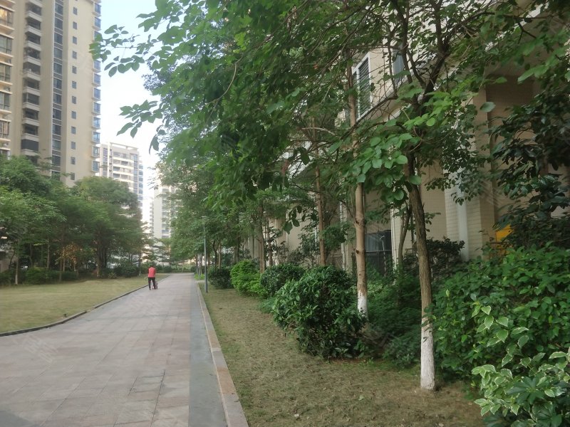 枫林水岸豪庭,环城路-清远枫林水岸豪庭二手房,租房,房价-清远安居客