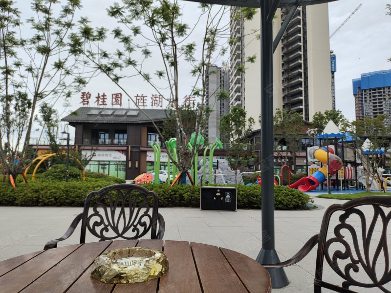 碧桂园旌湖上境
