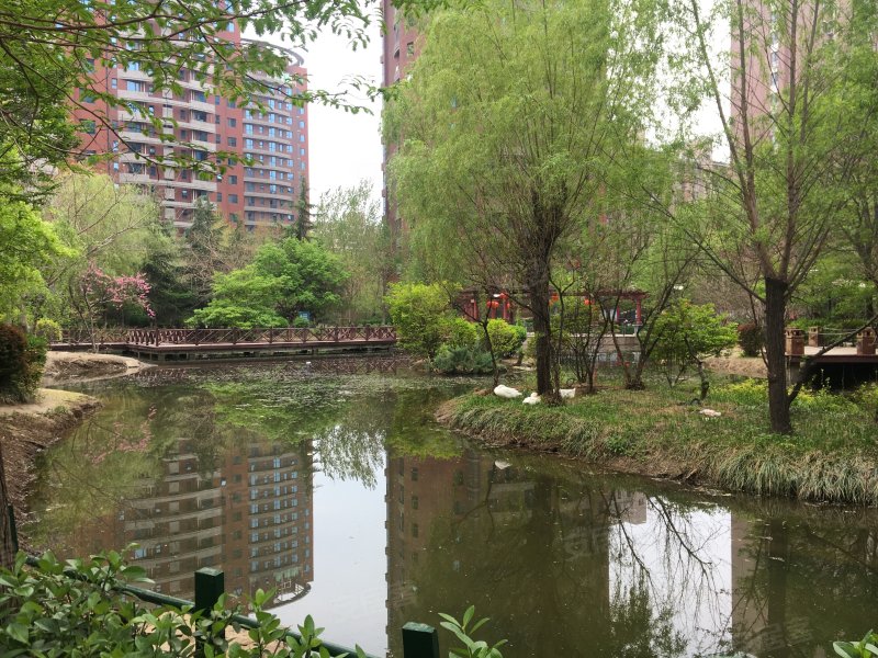 天一城(北区),凤麟街-邢台天一城(北区)二手房,租房,房价-邢台安居客