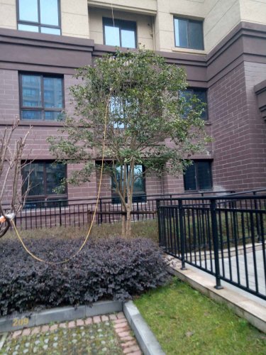 景范康城,英武南路659号 - 兴化景范康城二手房,租房,房价-兴化安居客