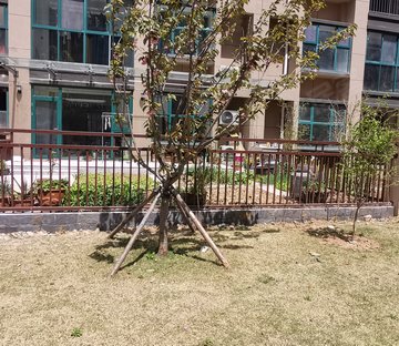 信合翡翠学府