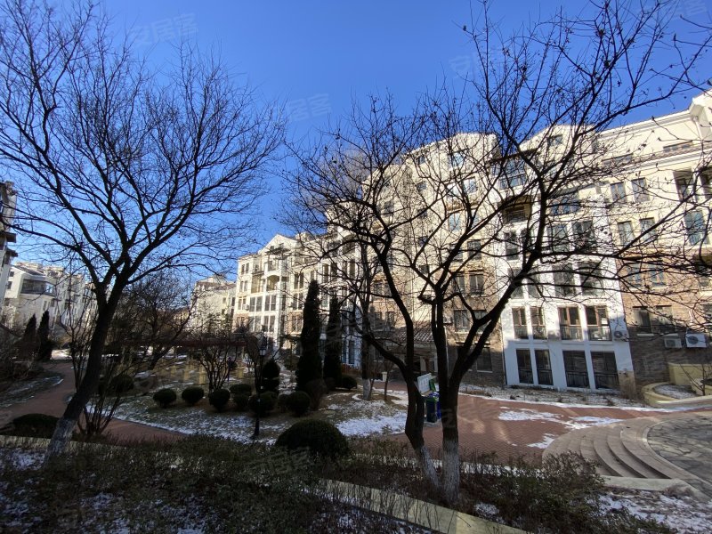 鲁能优山美地拂海园