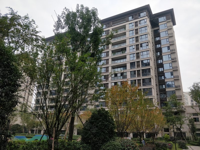 中铁西派城b区,智达二路1209号-成都中铁西派城b区二手房,租房,房价