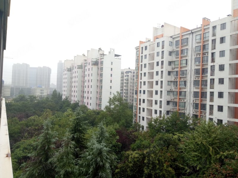 天地源枫林绿洲,科技四路2号-西安天地源枫林绿洲二手房,租房,房价