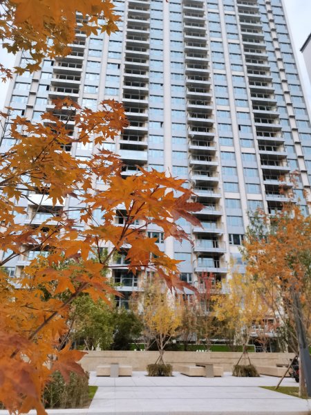 壹湖国际,华庆路-长春壹湖国际二手房,租房,房价-长春安居客