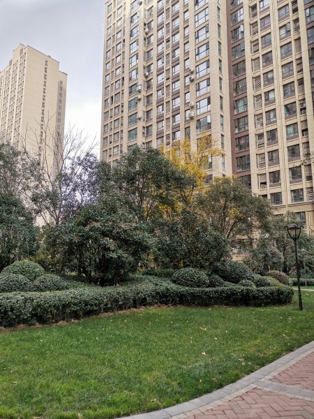 开祥御龙城,天明路82号-郑州开祥御龙城二手房,租房,房价-郑州安居客