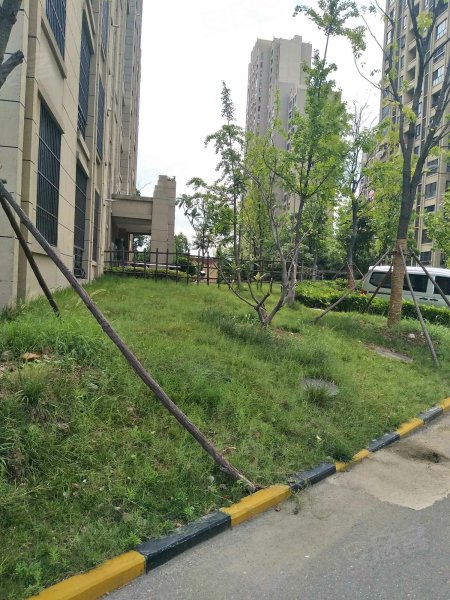 海亮兰郡花园,董铺路86号-阳泉海亮兰郡花园二手房,租房,房价-阳泉