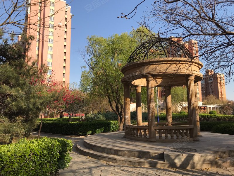 万年花城玫瑰碗(万年花城三期)