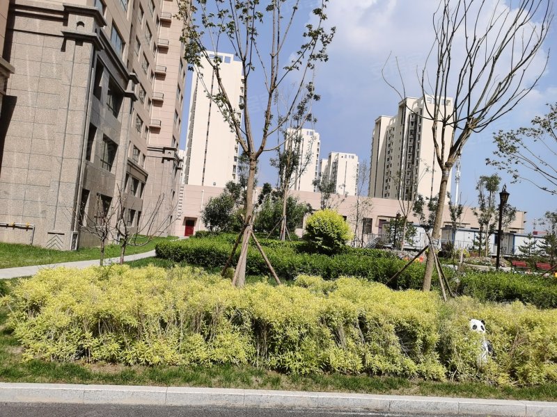 悦城帝景,鸿雁路-大同悦城帝景二手房,租房,房价-大同安居客