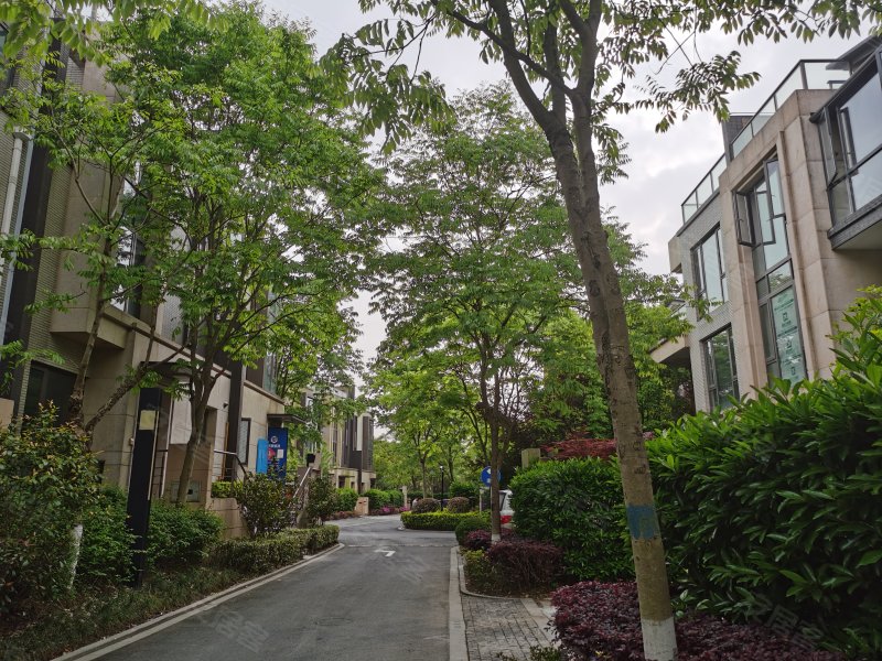 嘉涛湾(东区),沙淀南路300弄-上海嘉涛湾(东区)二手房,租房,房价-上海