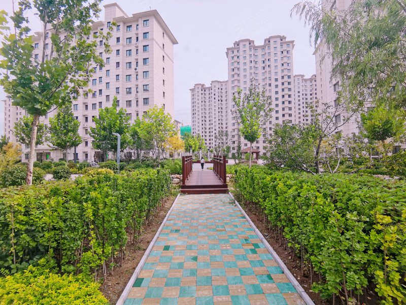 兴桐鑫城,251省道-秦皇岛兴桐鑫城二手房,租房,房价-秦皇岛安居客