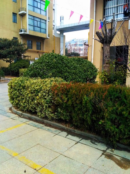 国泰广场,微山湖路41号-宿迁国泰广场二手房,租房,房价-宿迁安居客