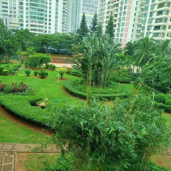 置地花园,明珠路2号-海口置地花园二手房,租房,房价-海口安居客