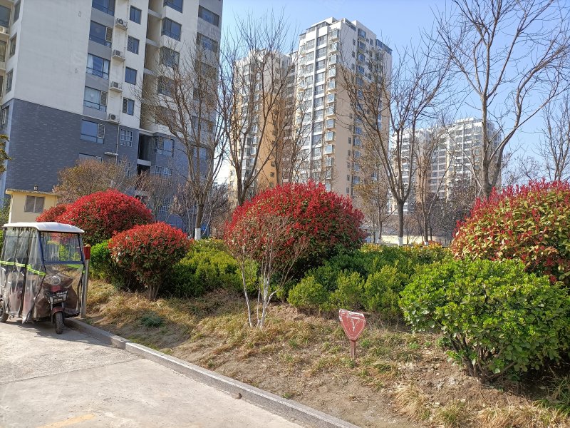 龙城7090,龙行路-济宁龙城7090二手房,租房,房价-济宁安居客